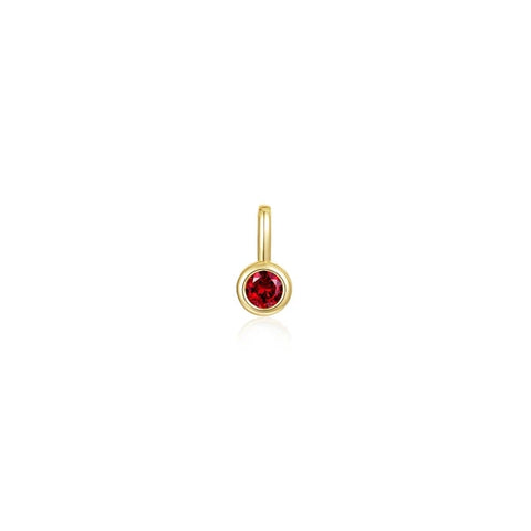 January Birthstone Charm Pendant